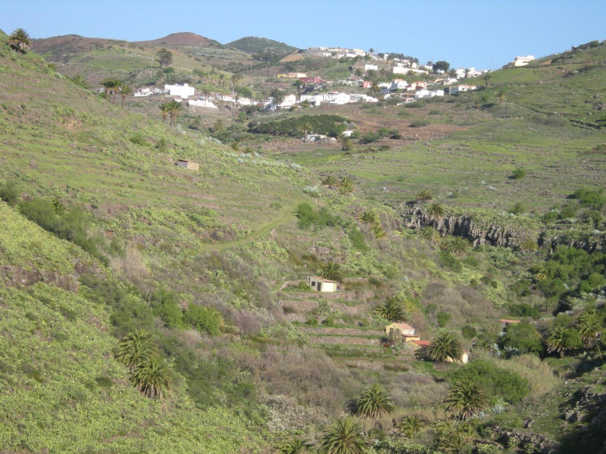 La Hoya Del Cura Apartment Valle Gran Rey Exterior photo